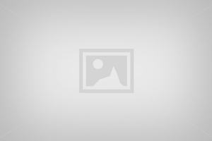 Psychotherapeutische Arbeit mit dem Inneren Team (Basiskurs)